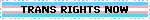 TRANS RIGHTS NOW