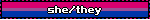she/they