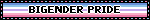 BIGENDER PRIDE
