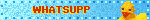 WHATSUPP