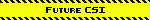 Future CSI