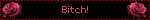 Bitch!