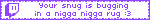 Your snug is bugging in a nigga nigga rug :3