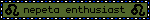 nepeta enthusiast