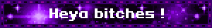 Heya bitches !