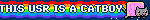 THIS USR IS A CATBOY