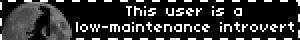 This user is a low-maintenance introvert