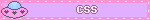 CSS