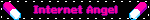 Internet Angel