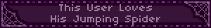 This User Loves His Jumping Spider
