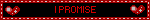 I PROMISE