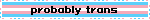 probably trans