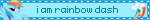 i am rainbow dash