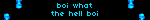 boi what the hell boi