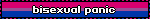 bisexual panic