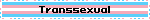 Transsexual