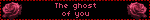 The ghost of you