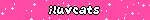 iluvcats