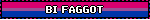 BI FAGGOT