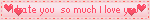 I hate you  so much I love you