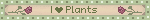 I ❤️ Plants