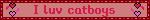 I luv catboys