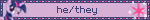 he/they