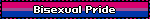 Bisexual Pride
