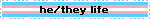 he/they life