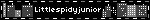 Littlespidyjunior