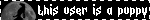 this user is a puppy
