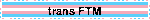 trans FTM