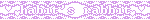 habit's rabbit