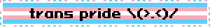 trans pride \(.<)/