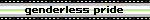 genderless pride