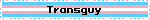 Transguy