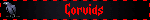 Corvids