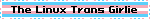 The Linux Trans Girlie