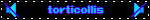 torticollis