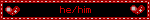 he/him