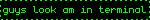 guys look am in terminal