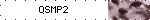 QSMP2