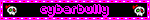 cyberbully