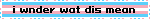 i wnder wat dis mean