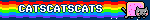 CATSCATSCATS