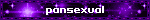 pansexual