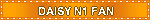 DAISY N1 FAN