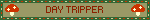 DAY TRIPPER