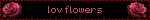 J'adore les fleurs