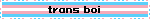 trans boi
